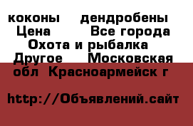 коконы    дендробены › Цена ­ 25 - Все города Охота и рыбалка » Другое   . Московская обл.,Красноармейск г.